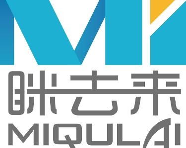 山东眯去来网络科技 洞察前沿，链接未来